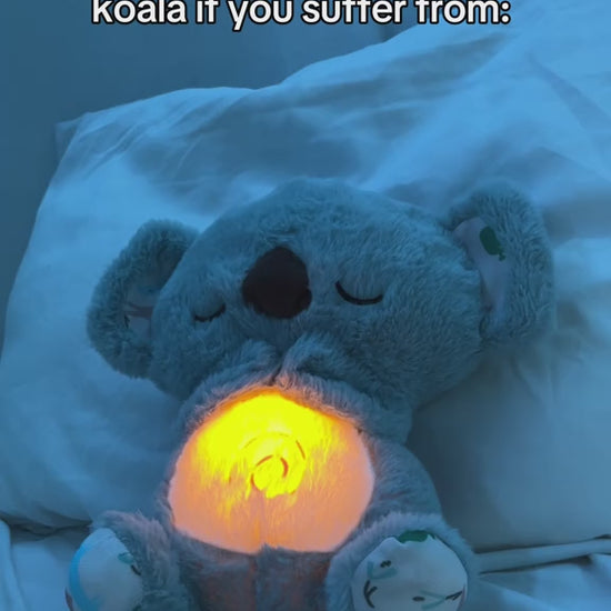 KozyKoala by SnugBub